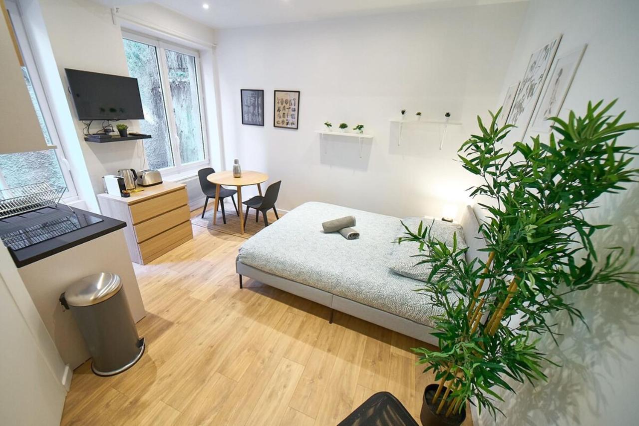 Le Petit Pierre Scize - Quais De Saone Apartman Lyon Kültér fotó